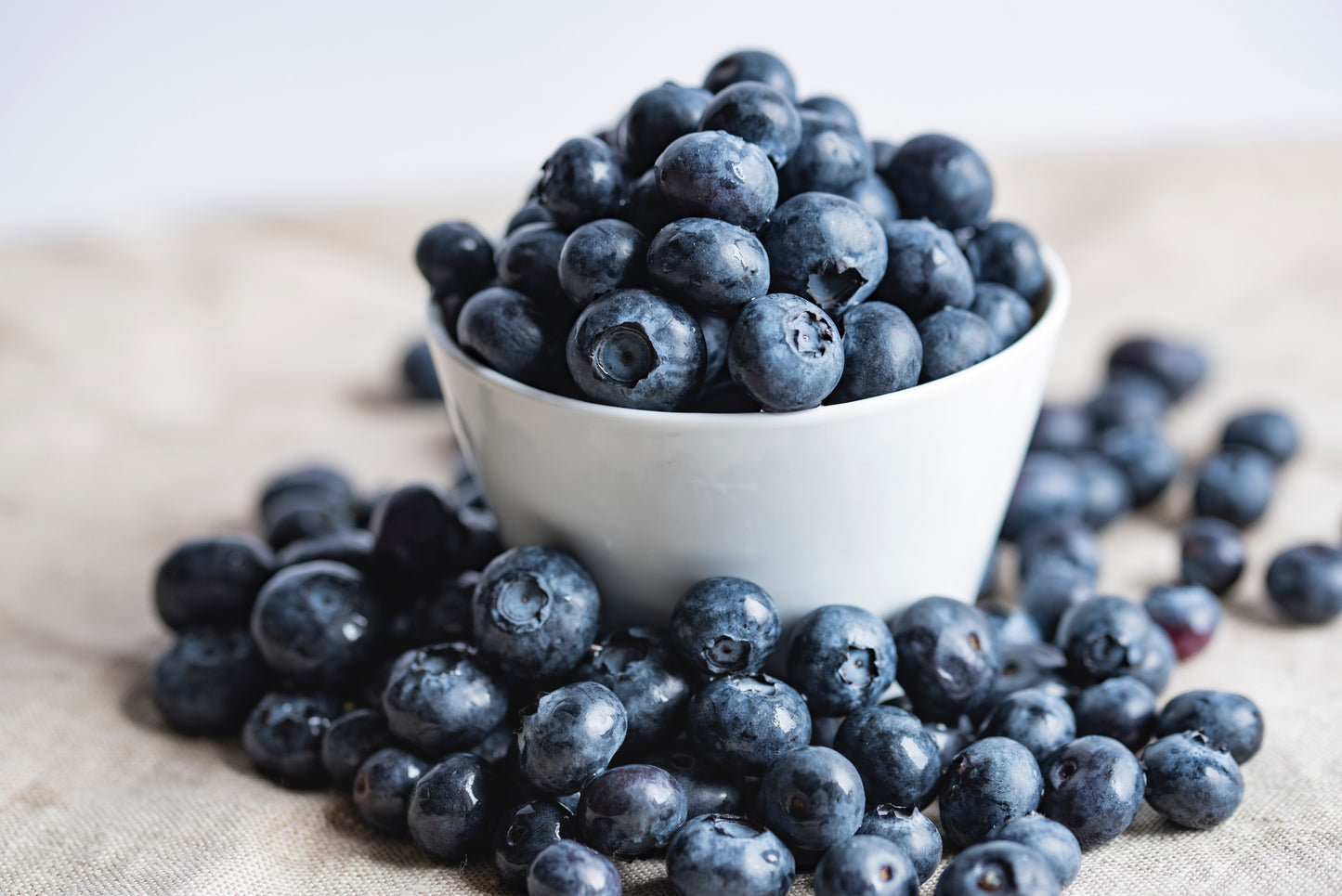 Blueberry Candle Fragrance Oil