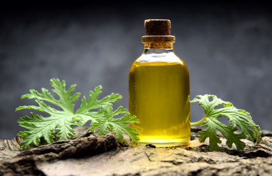 Citronella Candle Fragrance Oil