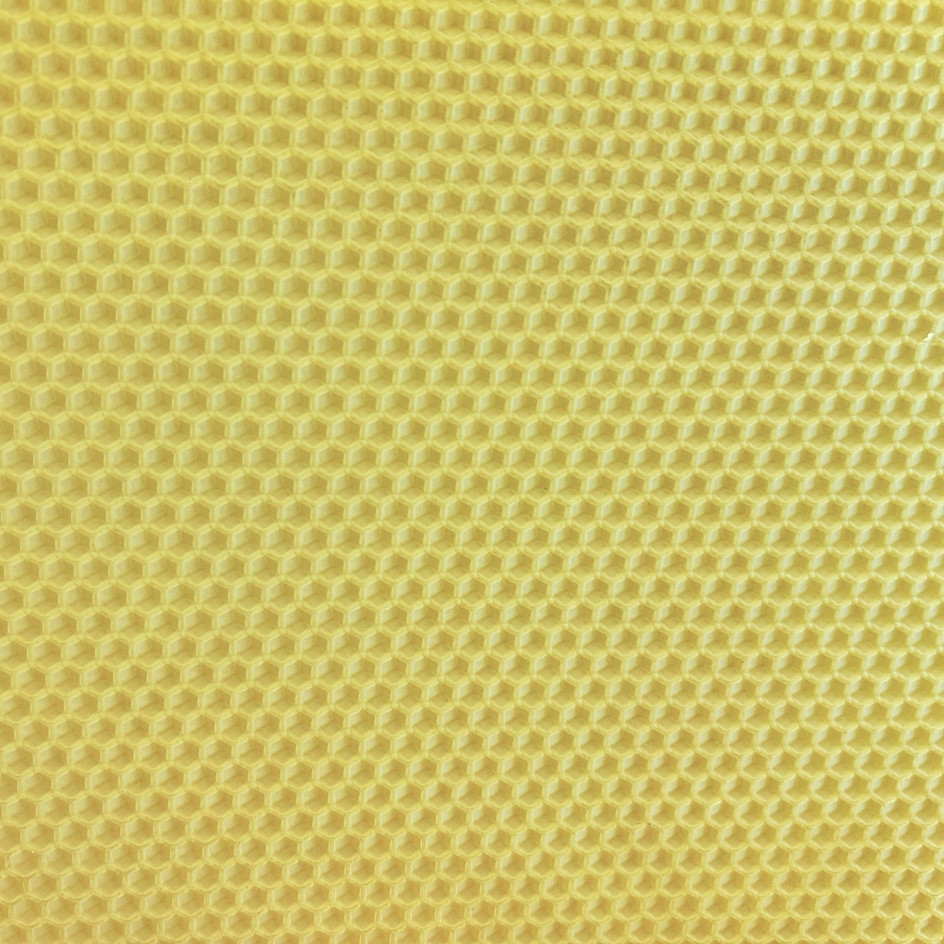 beeswax sheets