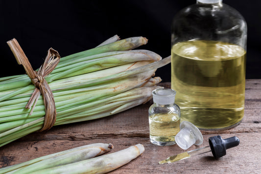 Lemongrass Citronella Candle Fragrance Oil