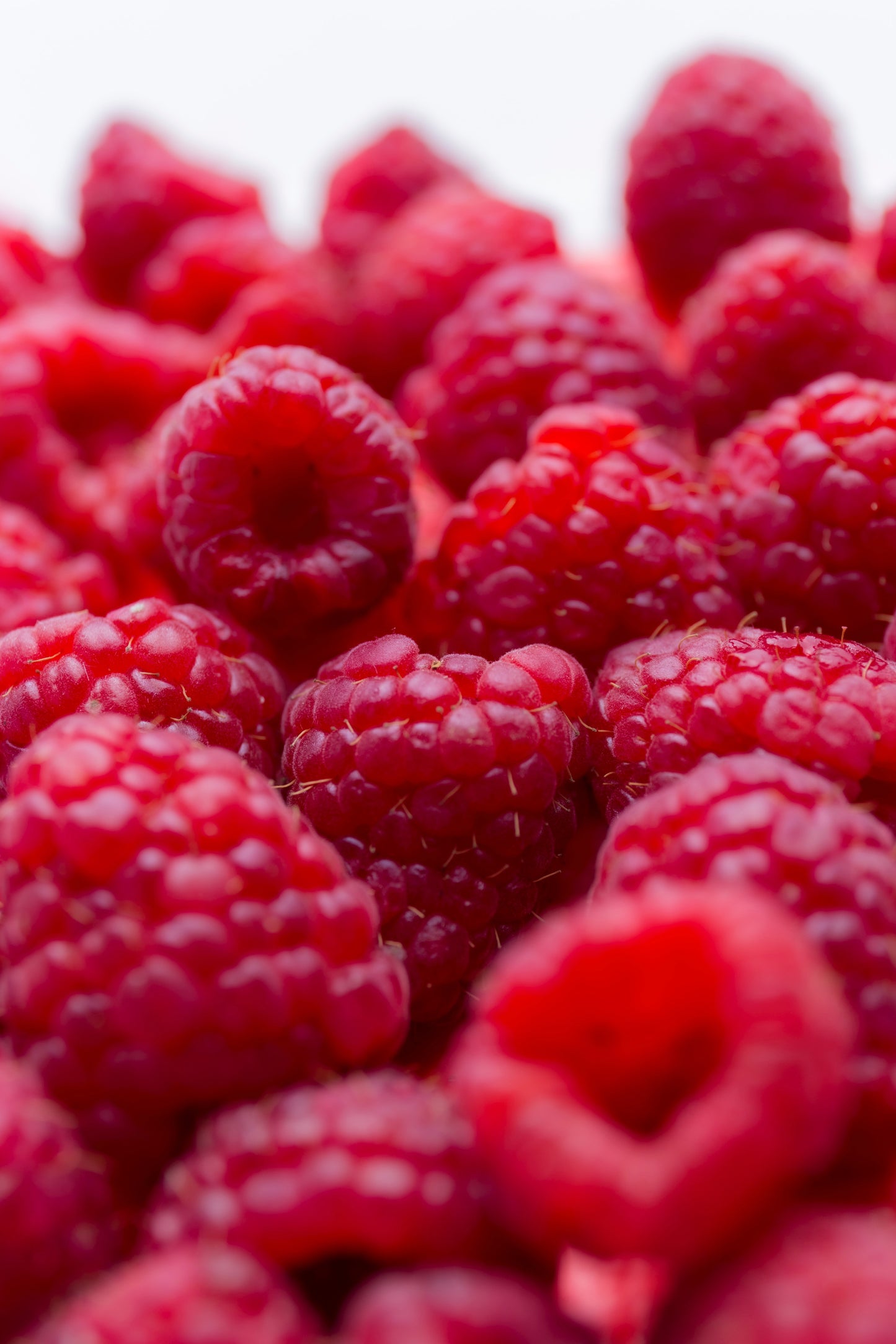 Red Raspberry Candle Fragrance Oil