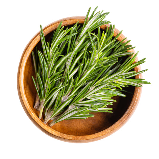 Rosemary Essential Oil