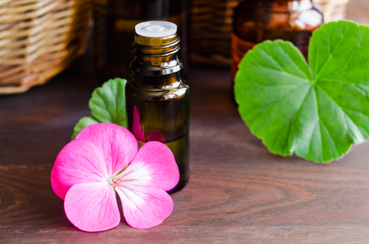 Geranium Egyptian Essential Oil