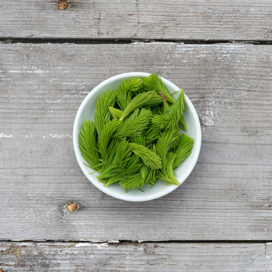 Spruce Essential Oil