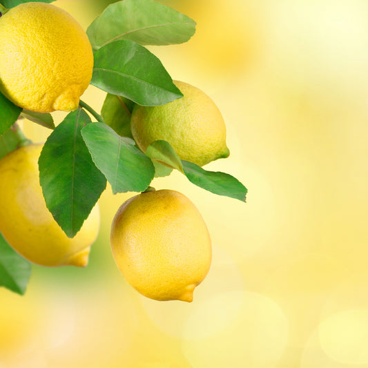 Lemon Essential Oil