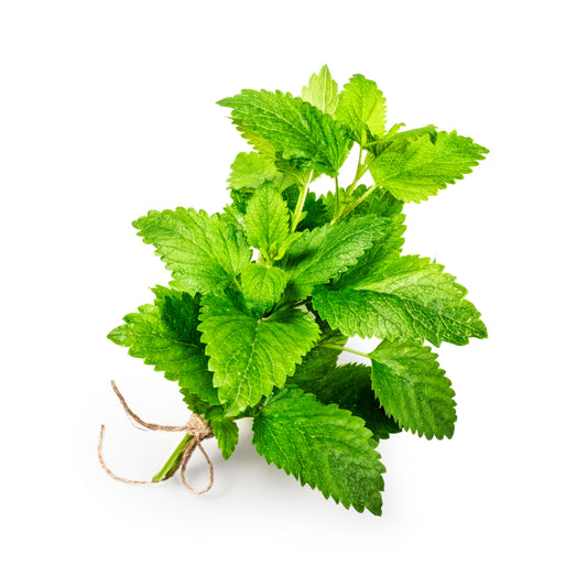 Peppermint Essential Oil